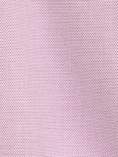 SEIDENSTICKER Regular Fit Skjorte Rød Button-Down Struktur - Visning 1