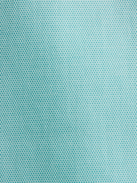 SEIDENSTICKER Regular Fit Skjorte Grøn Button-Down Struktur - Visning 1